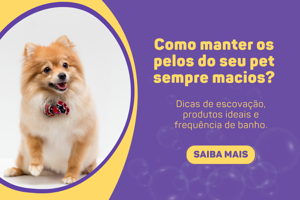 cachorro feliz com pelos bem cuidados.