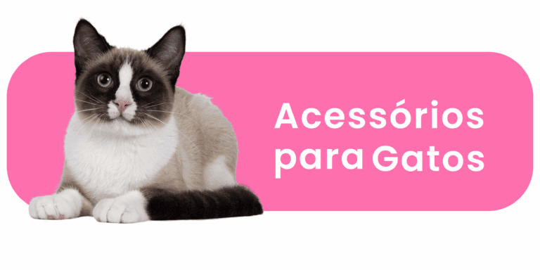 Gato de pelos claros com olhos azuis sobre fundo rosa ao lado de espaço para texto sobre acessórios pet