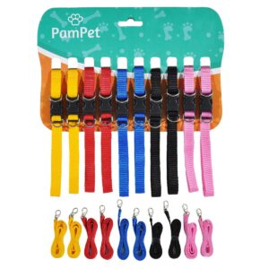 Coleira de nylon com guia em fundo branco