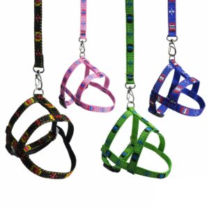 Peitoral tradicional com guia para cachorro